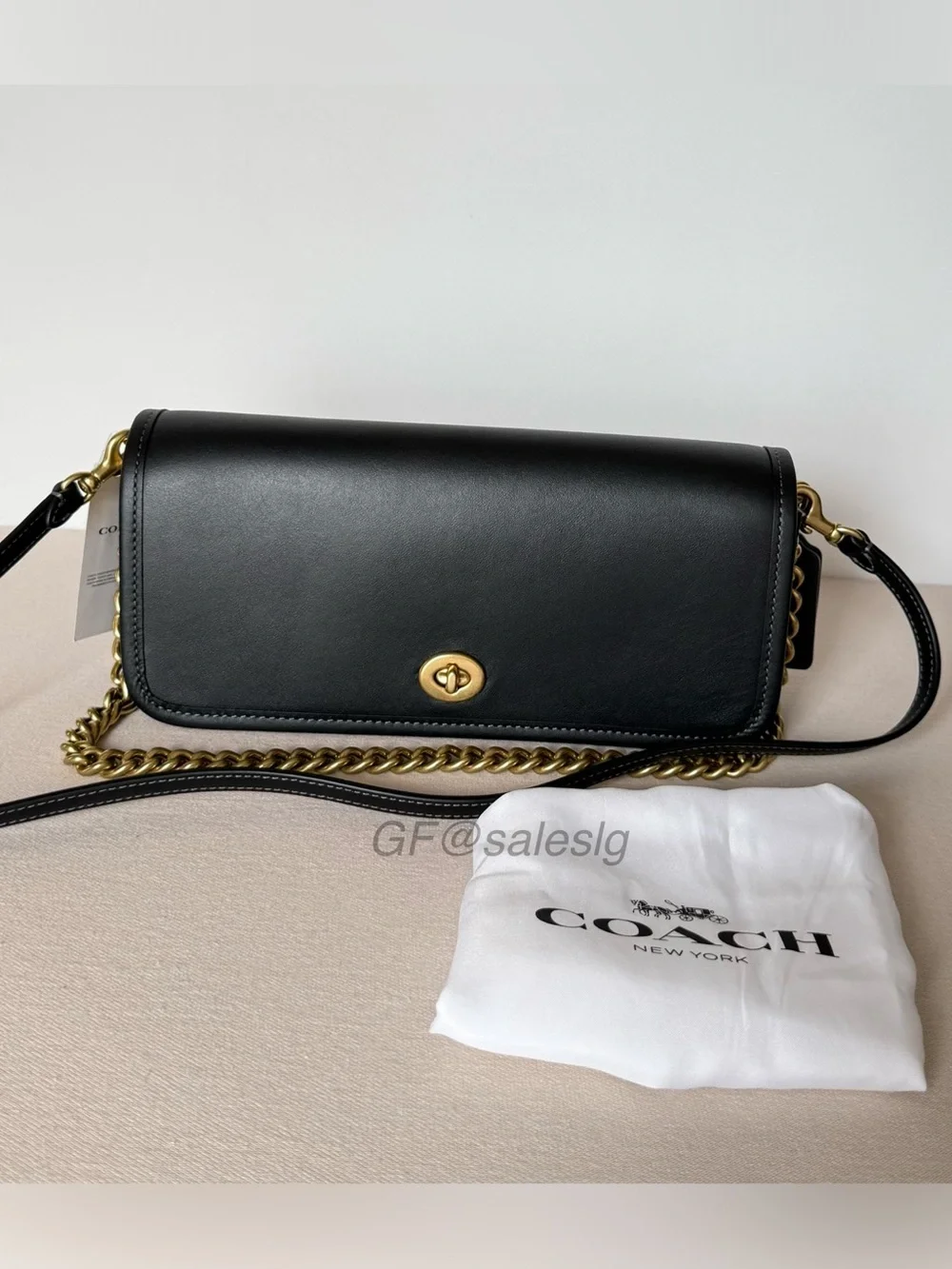 Coach classic dinky